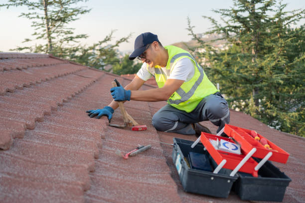 Best Roof Replacement  in Fosston, MN